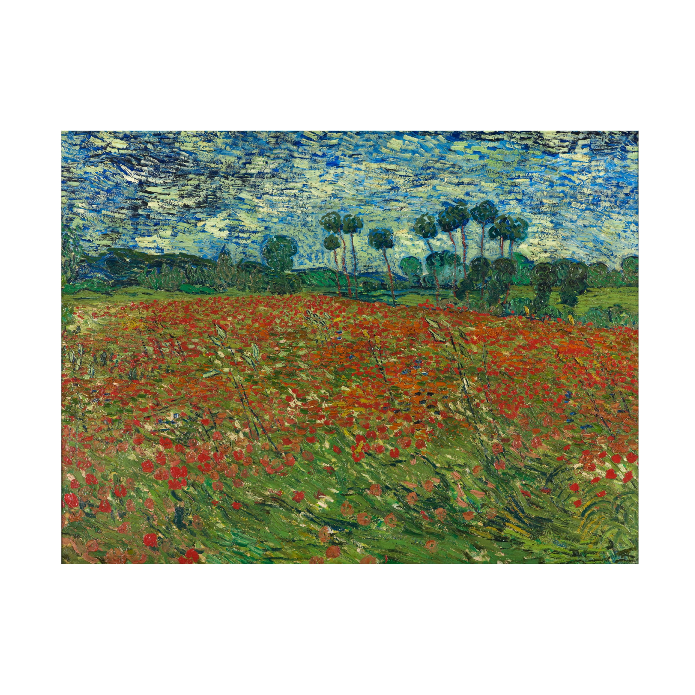 Van Gogh 'Poppy Field' Canvas Art