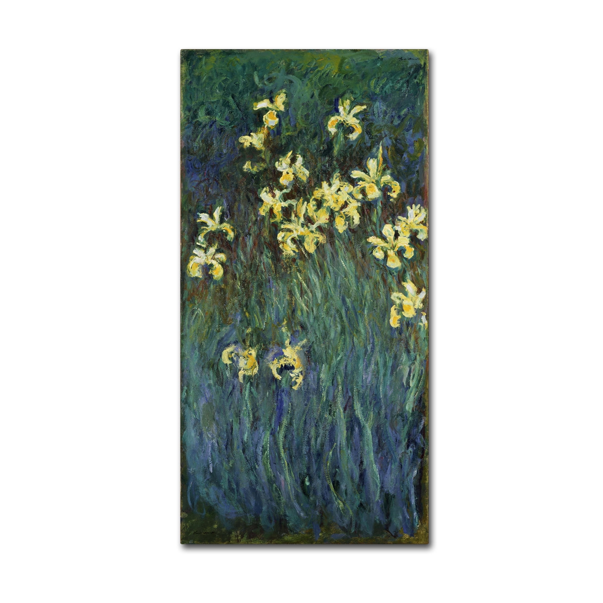 Claude Monet 'The Yellow Irises' Canvas Art
