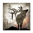 thumbnail image 1 of LightBoxJournal 'Calling Elk' Canvas Art, 1 of 4