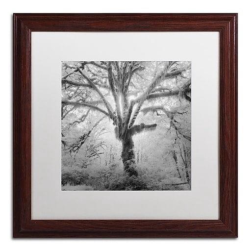 Moises Levy 'Lightning Tree II' Matted Framed Art