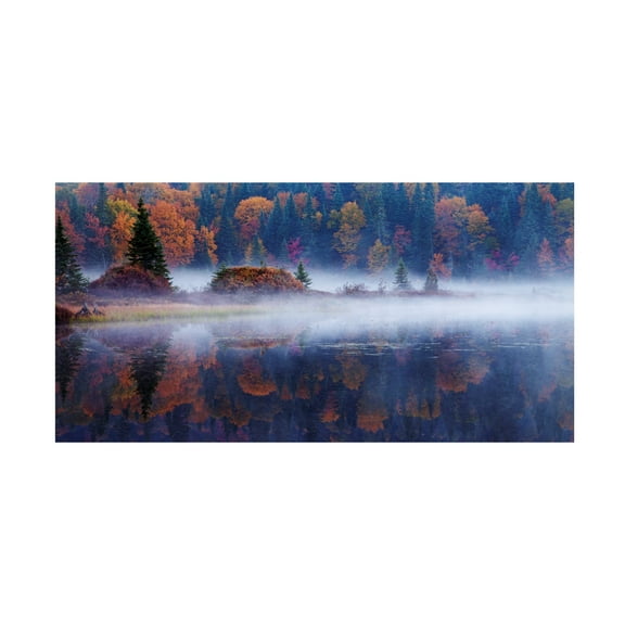 Mircea Costina 'Laurentian Forest' Canvas Art