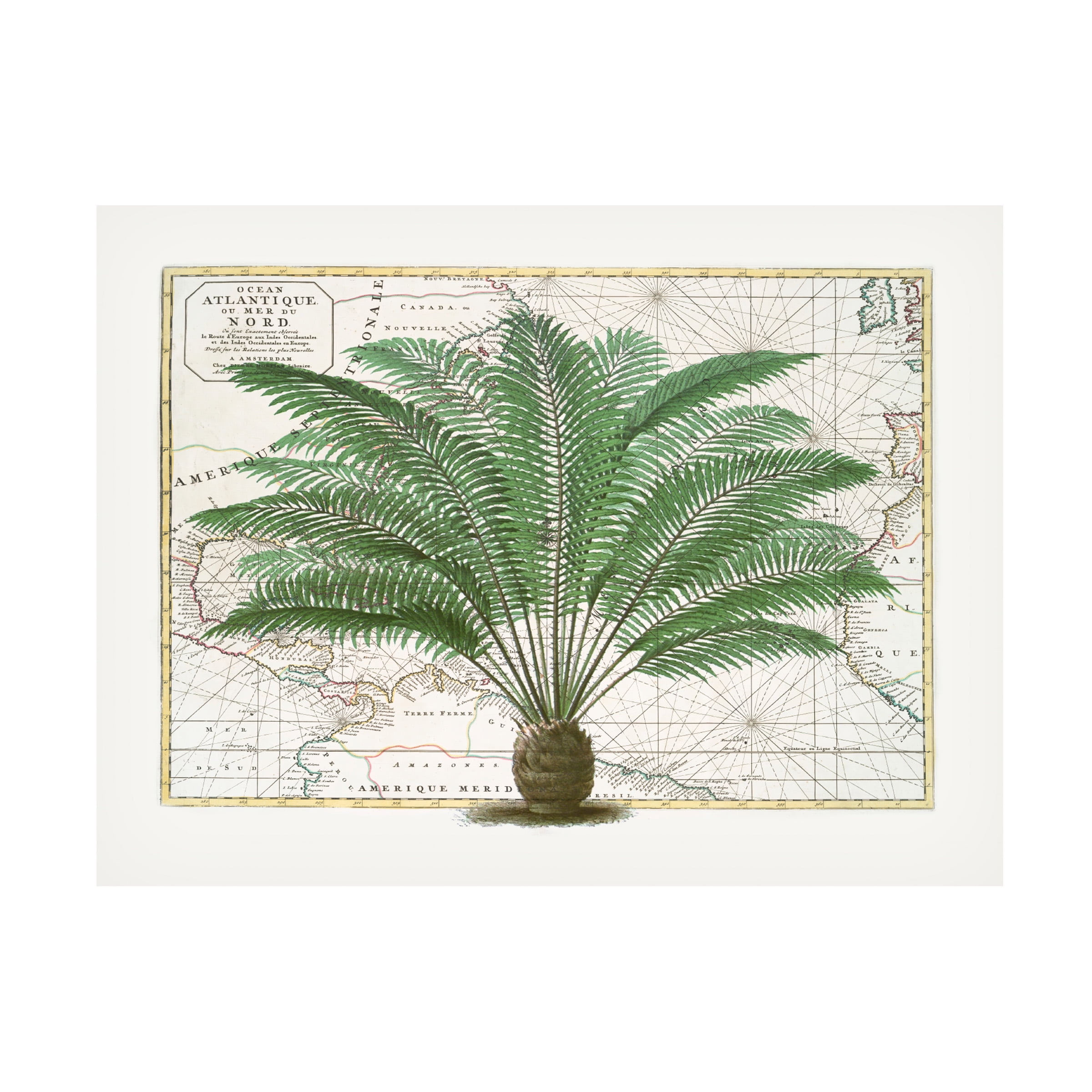 Andrea Haase 'Tropical Empire No5' Canvas Art