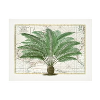 Andrea Haase 'Tropical Empire No5' Canvas Art