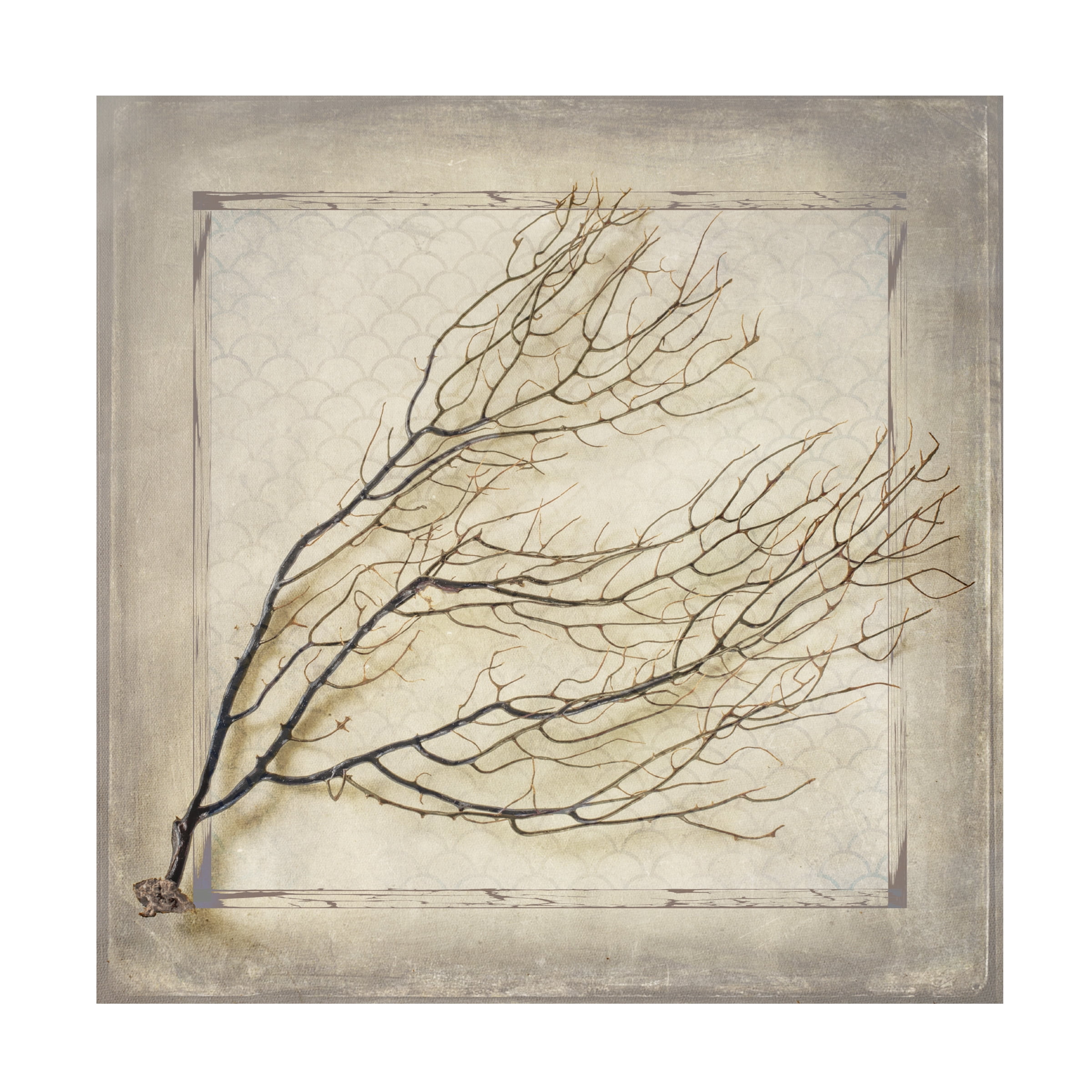 LightBoxJournal 'Starfish Sea Leaf' Canvas Art