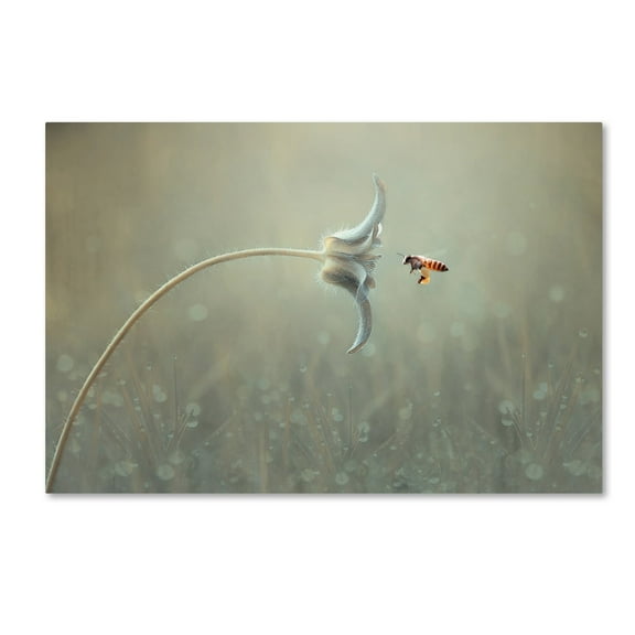 Edy Pamungkas 'On The Way' Canvas Art