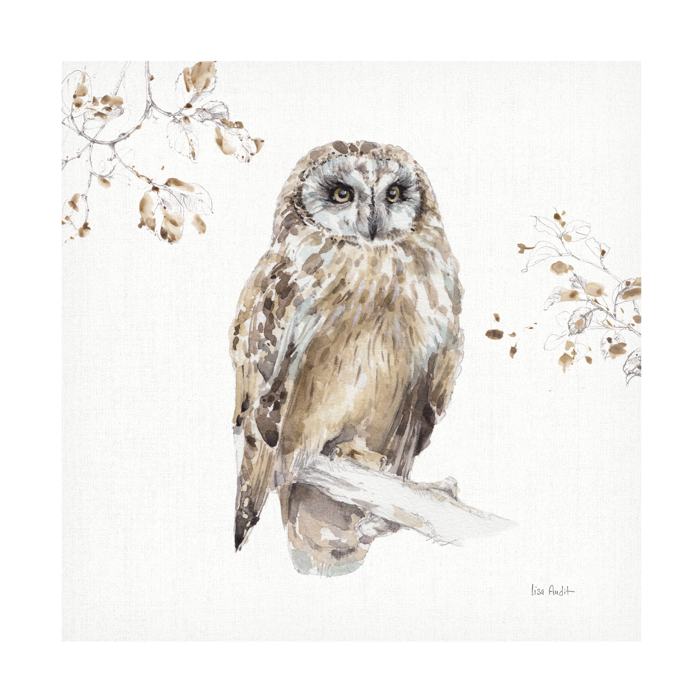 Lisa Audit 'Woodland Walk Viii Owl' Canvas Art