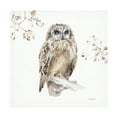 thumbnail image 1 of Lisa Audit 'Woodland Walk Viii Owl' Canvas Art, 1 of 4
