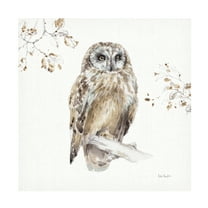 Lisa Audit 'Woodland Walk Viii Owl' Canvas Art