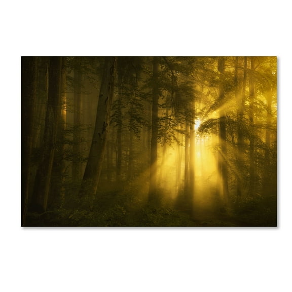 Norbert Maier 'Yellow' Canvas Art