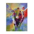 thumbnail image 1 of Trademark Fine Art Richard Wallich Longhorn Canvas Wall Art - 18x24, 1 of 5