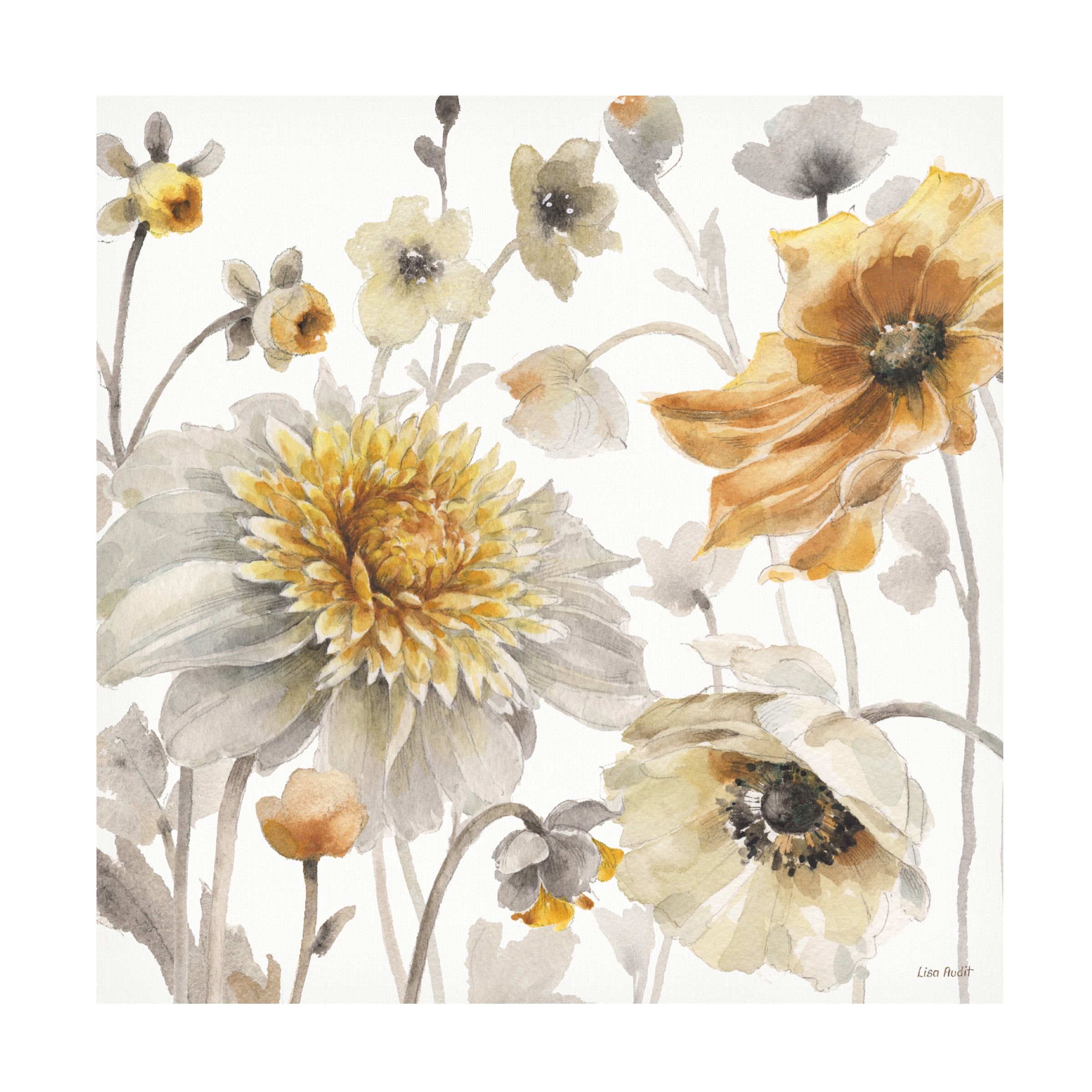 Trademark Fine Art 'Fields of Gold II' Canvas Art by Lisa Audit