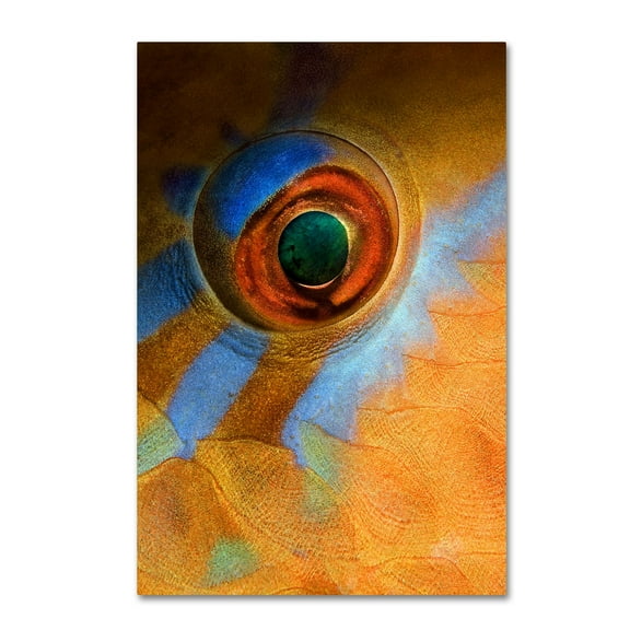 Andrey Narchuk 'Makeup' Canvas Art