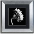 thumbnail image 1 of Michael Harrison 'Sunflower' Black Matted Framed Art, 1 of 5