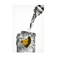 thumbnail image 1 of Christian Pabst 'Have A Drink' Canvas Art, 1 of 4