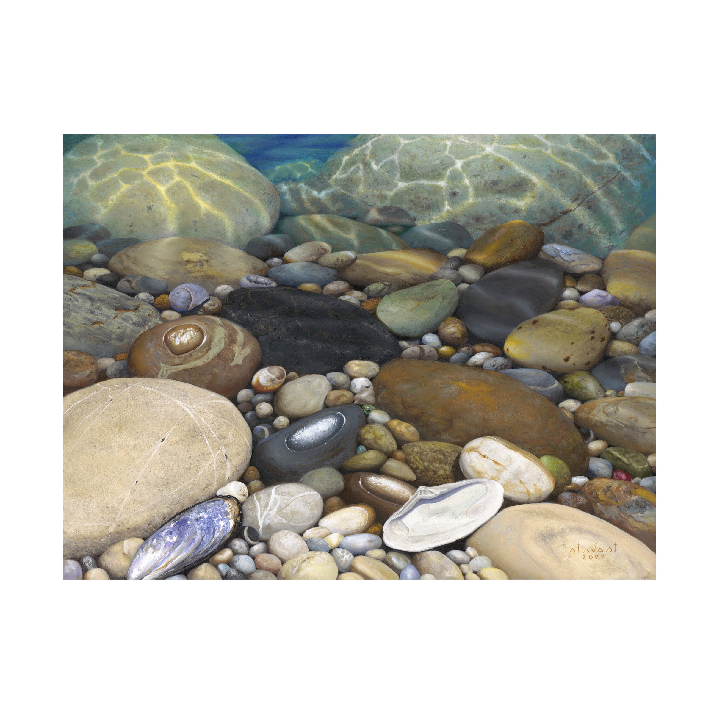 Stephen Stavast 'Shoreline Treasures' Canvas Art