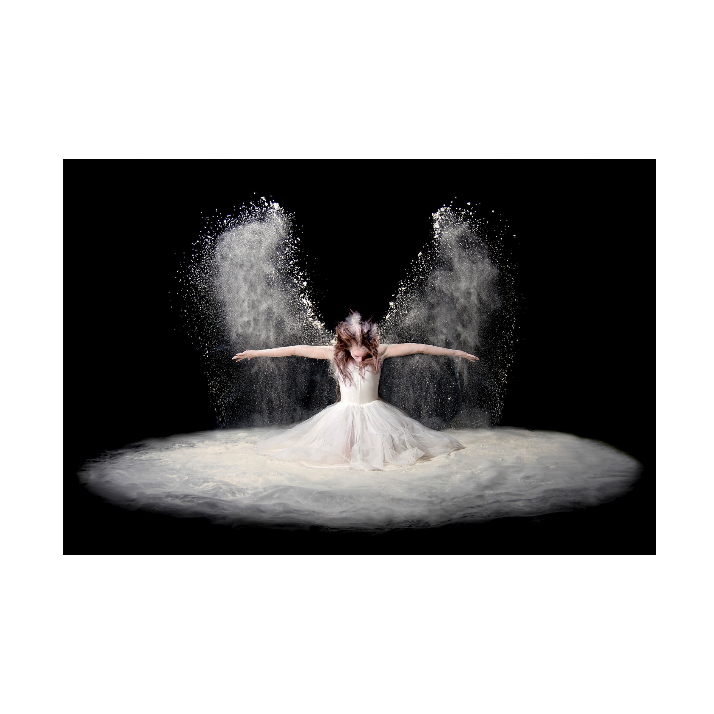 Pauline Pentony Ba 'Dust Wings' Canvas Art