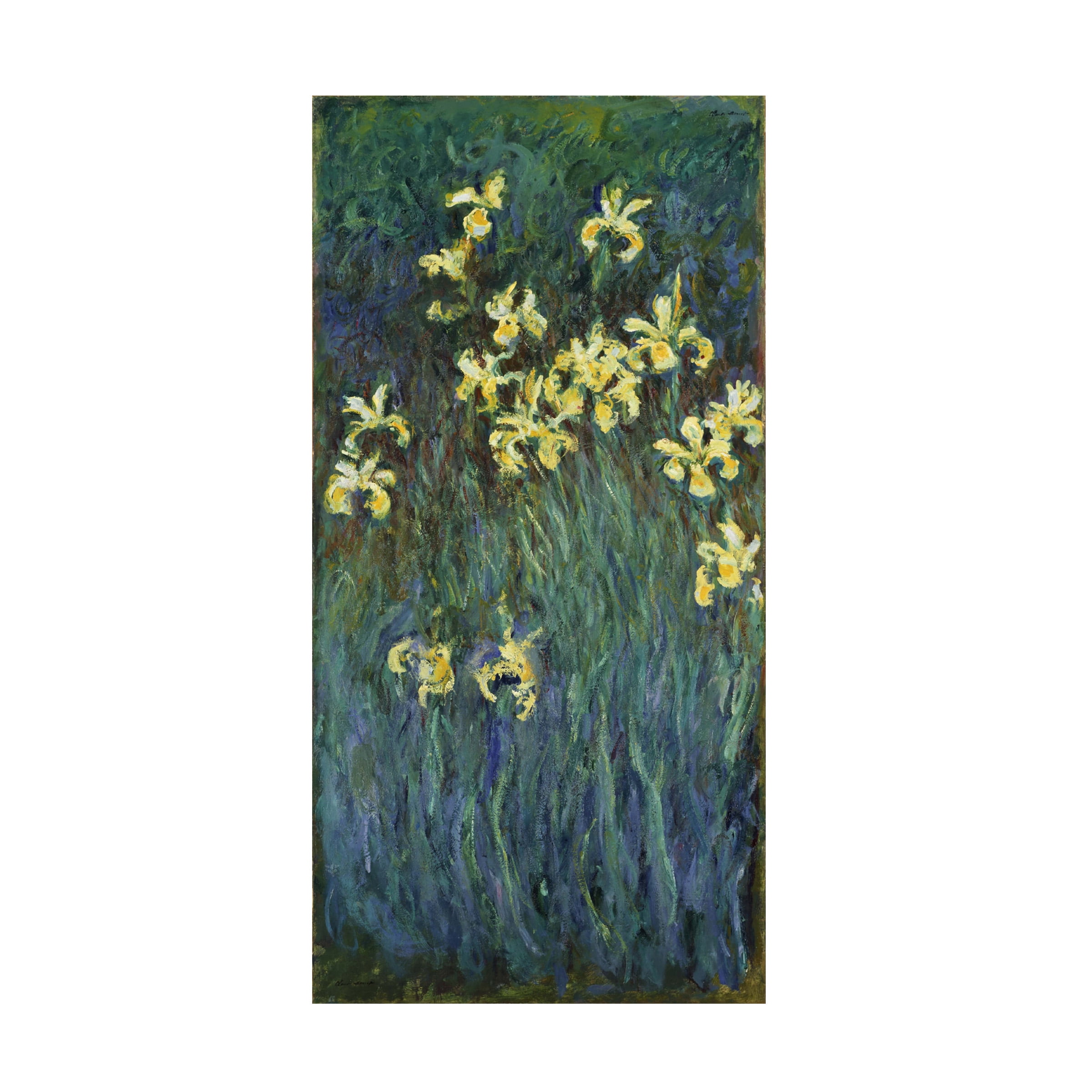 Claude Monet 'The Yellow Irises' Canvas Art