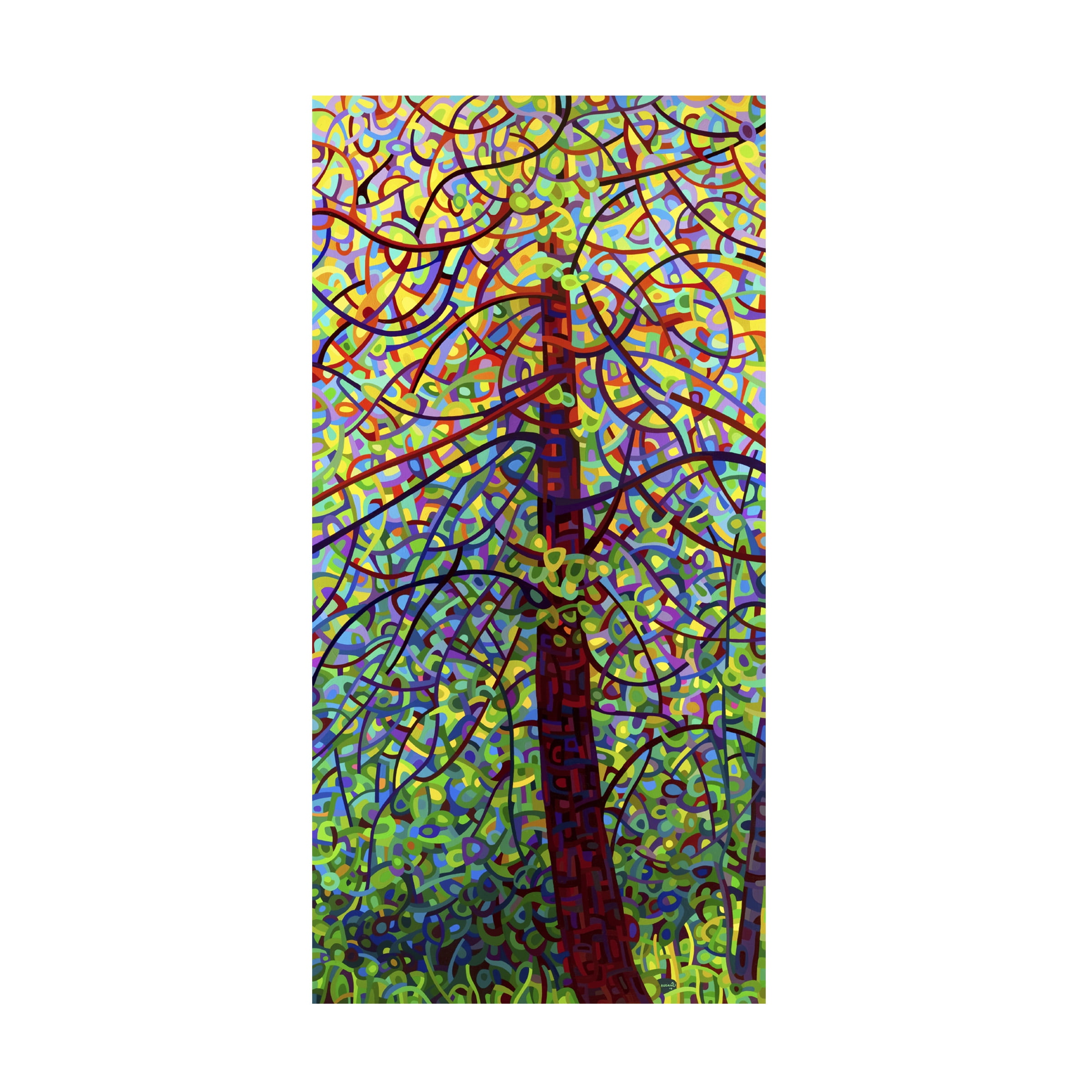 Mandy Budan 'Kaleidoscope' Canvas Art