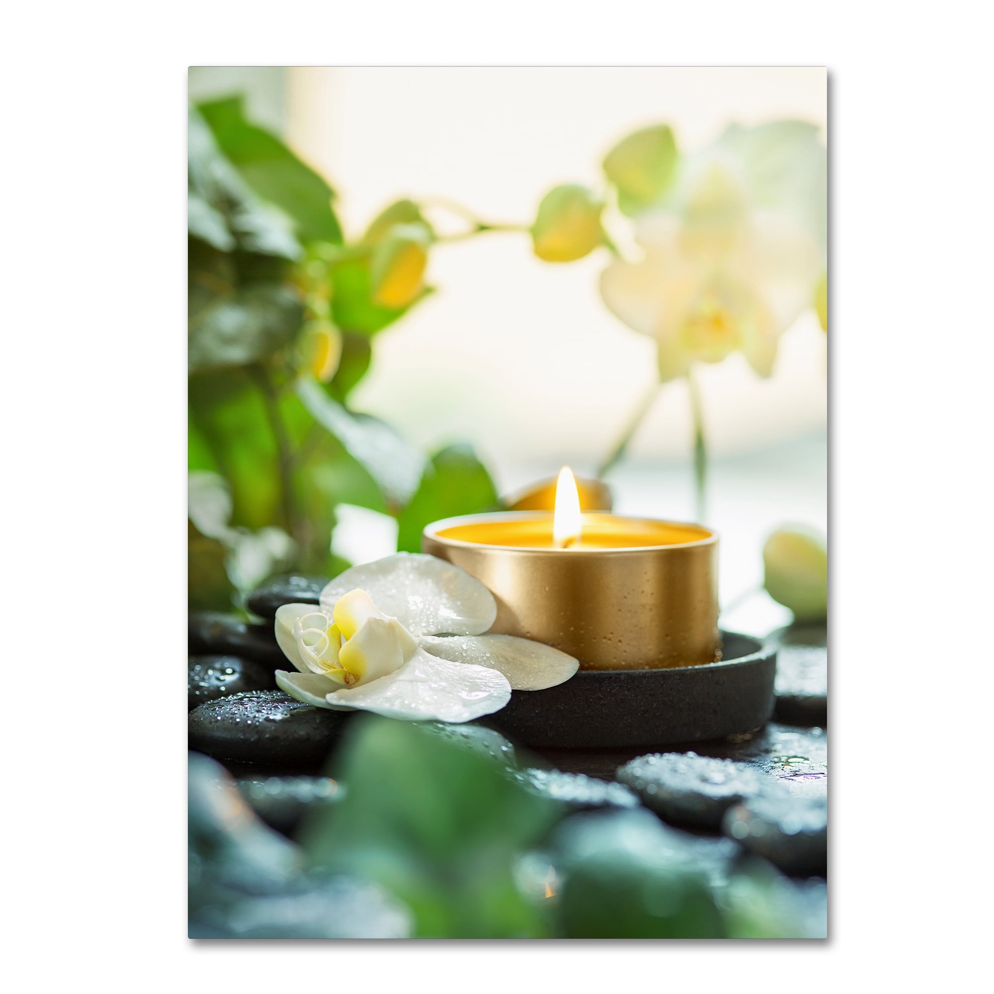 Zen Orchid and Candle Giclee Canvas Wall Art in Floater Frame