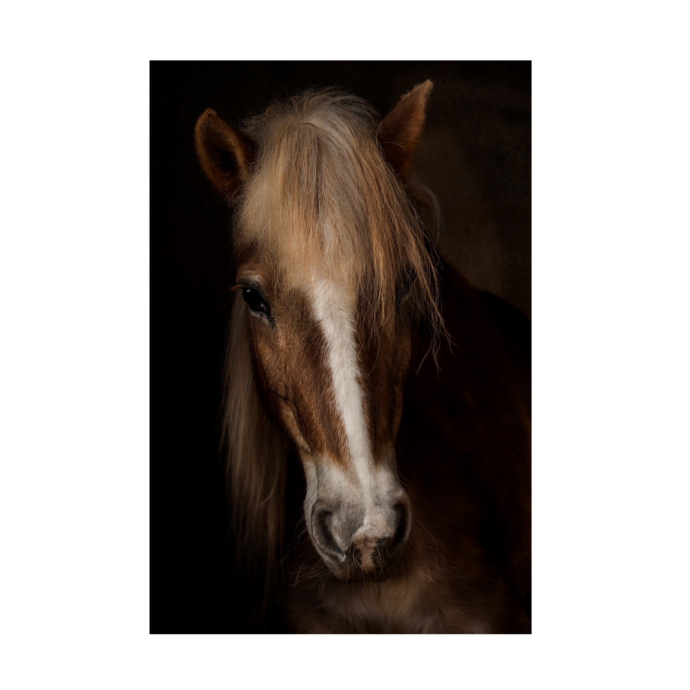 Martine Benezech 'Sapience' Canvas Art