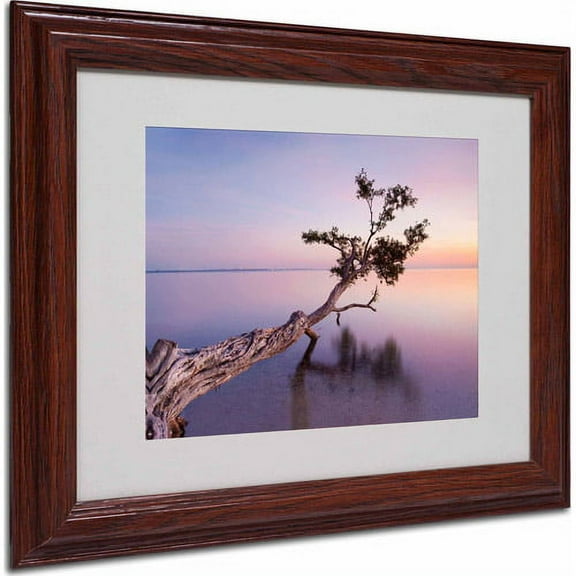 Matted art under acrylic in a wood frame