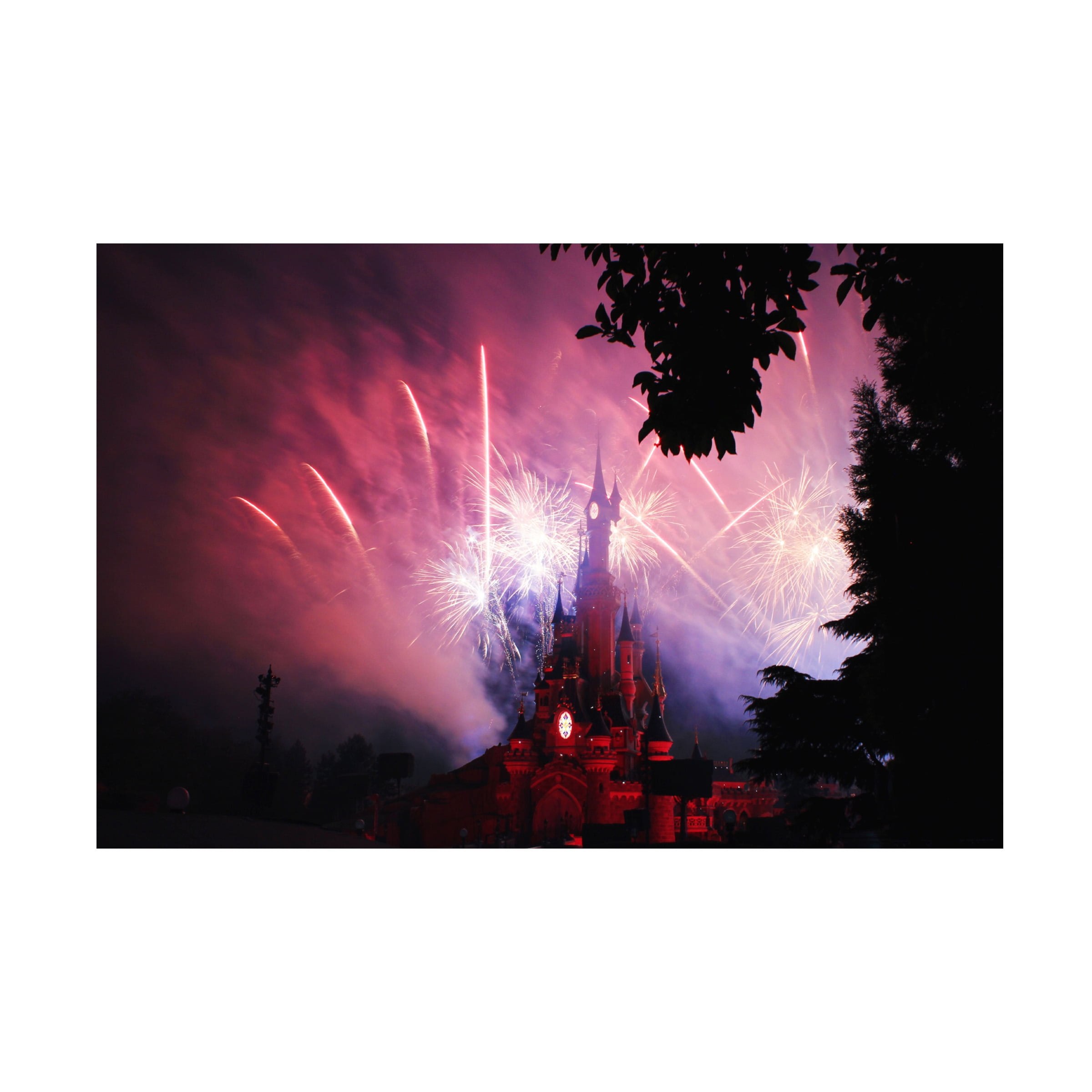 Anders Krogh 'Disney is a magical place' Canvas Art