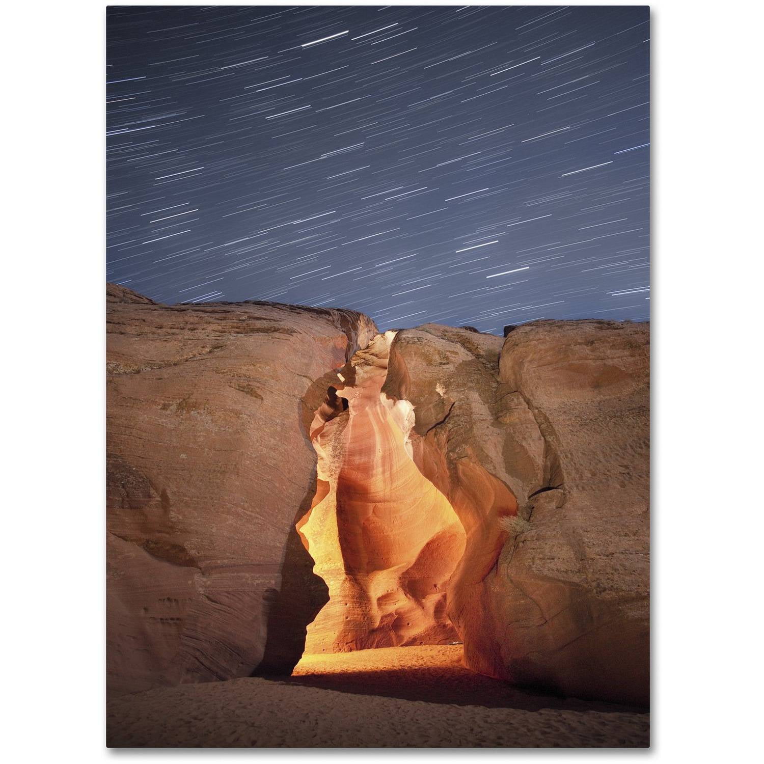 Moises Levy 'Flame' Canvas Art