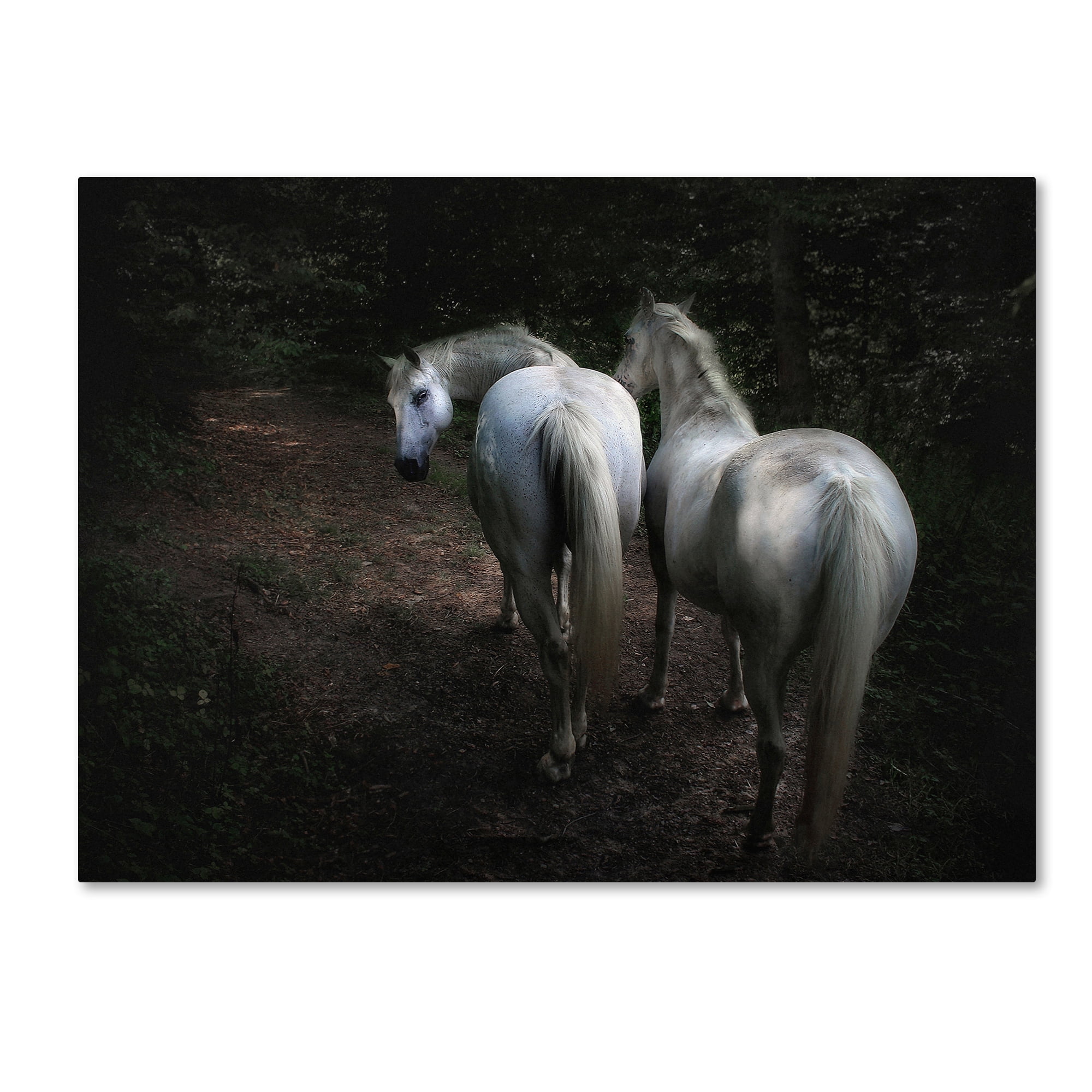 Holger Droste 'Come ' Canvas Art