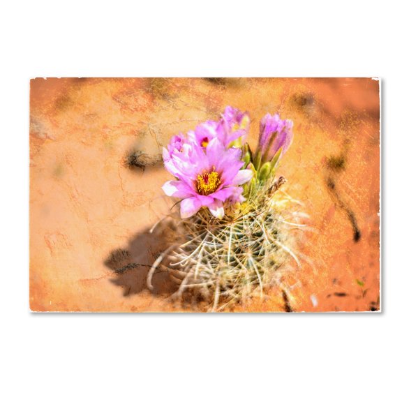 LightBoxJournal 'Desert Flower 4' Canvas Art