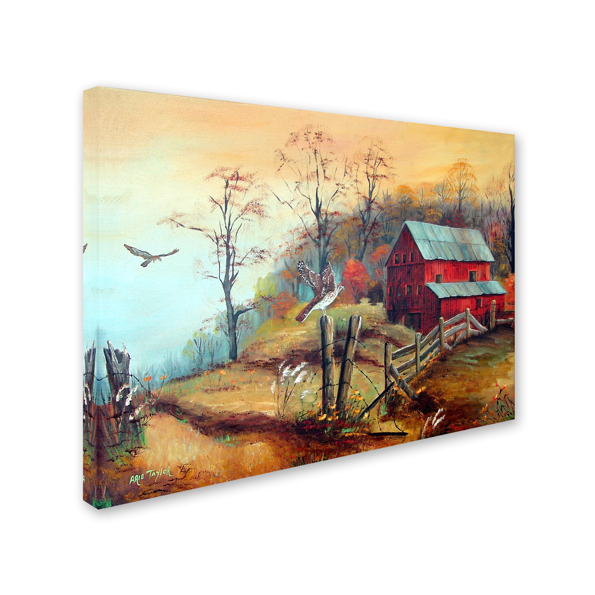 Arie Reinhardt Taylor Red Barn and Hawk Landscape Canvas Art