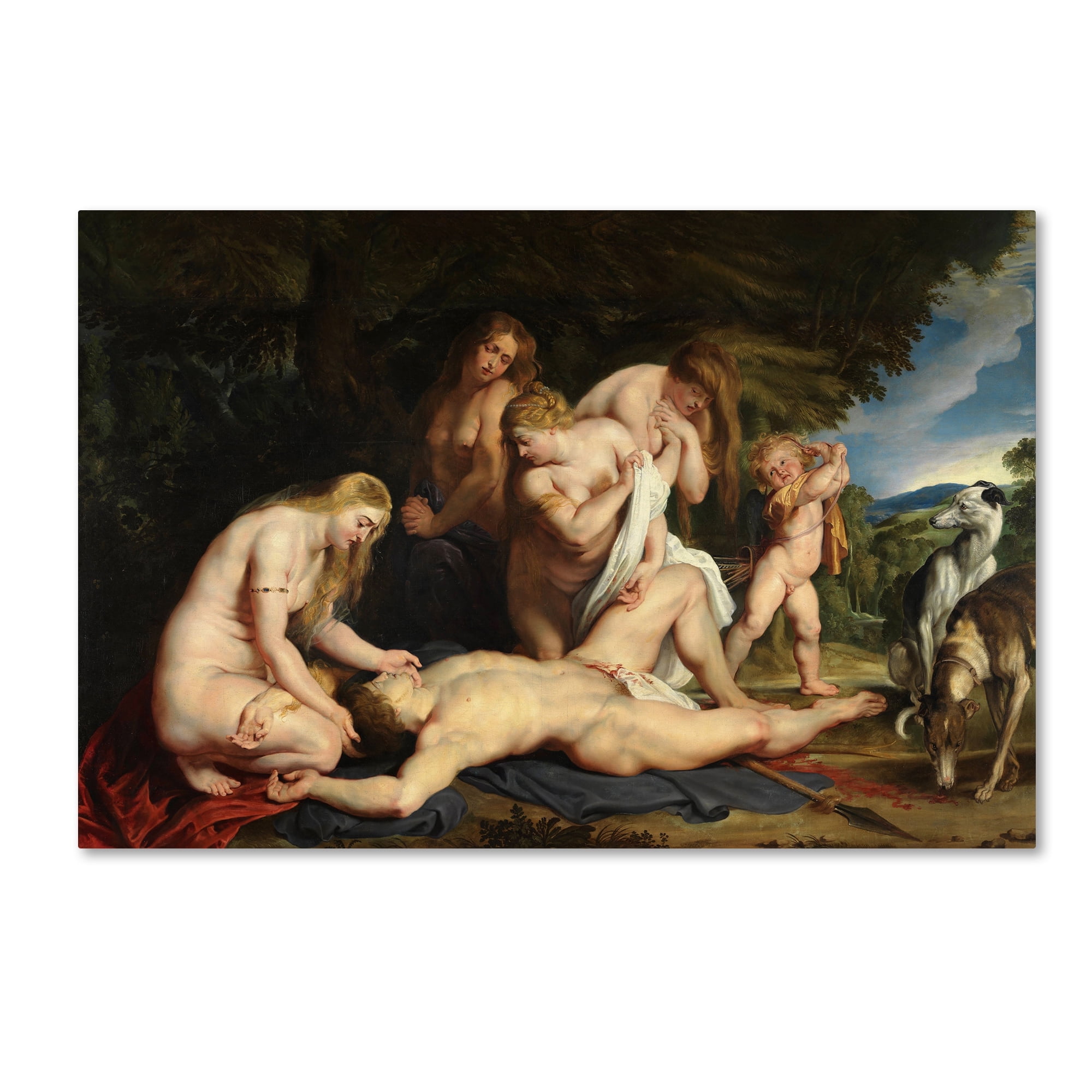 Peter Paul Rubens 'The Death Of Adonis' Canvas Art