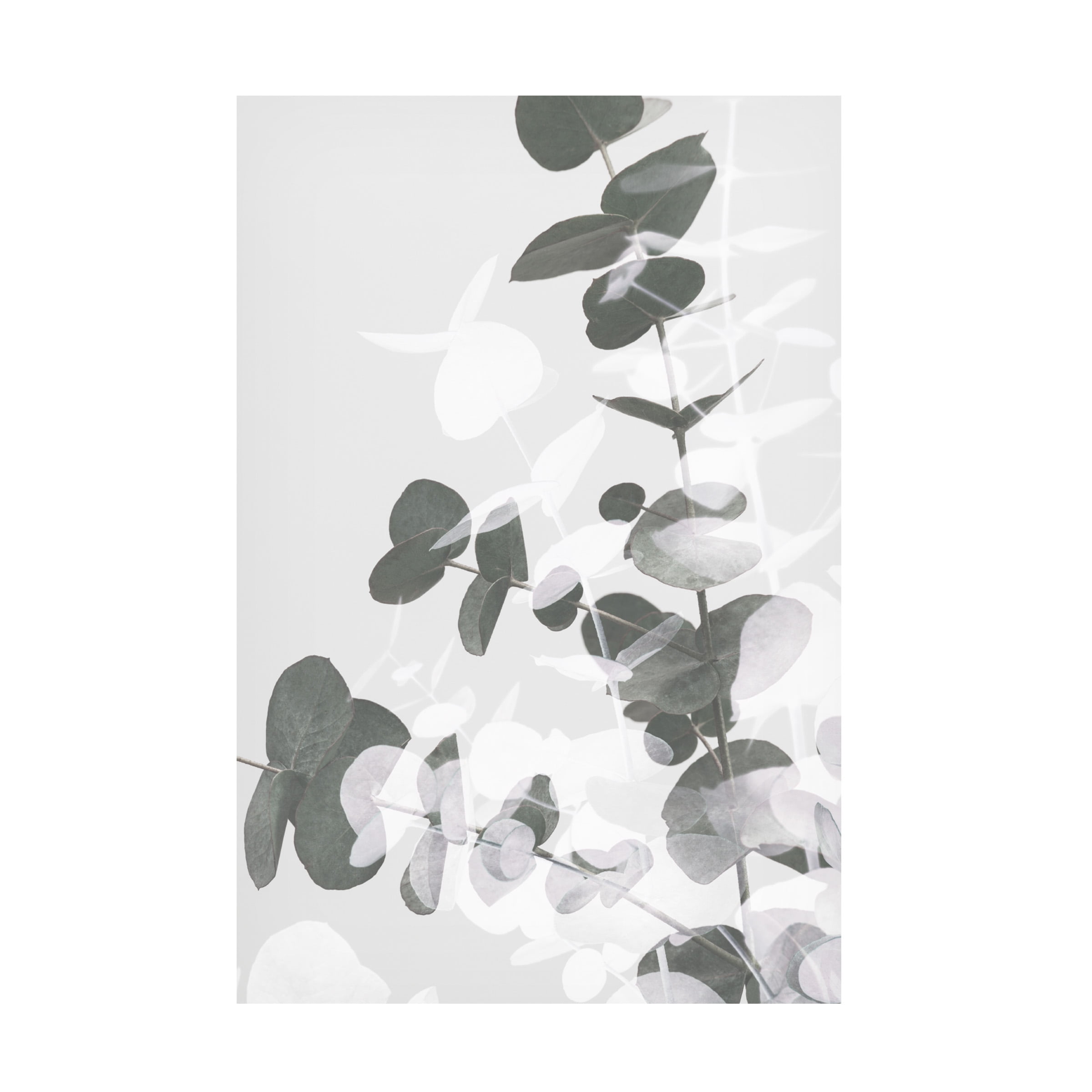 1x Studio III 'Eucalyptus Creative 09' Canvas Art