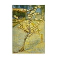 thumbnail image 1 of Van Gogh 'Small Pear Tree In Blossom' Canvas Art, 1 of 4