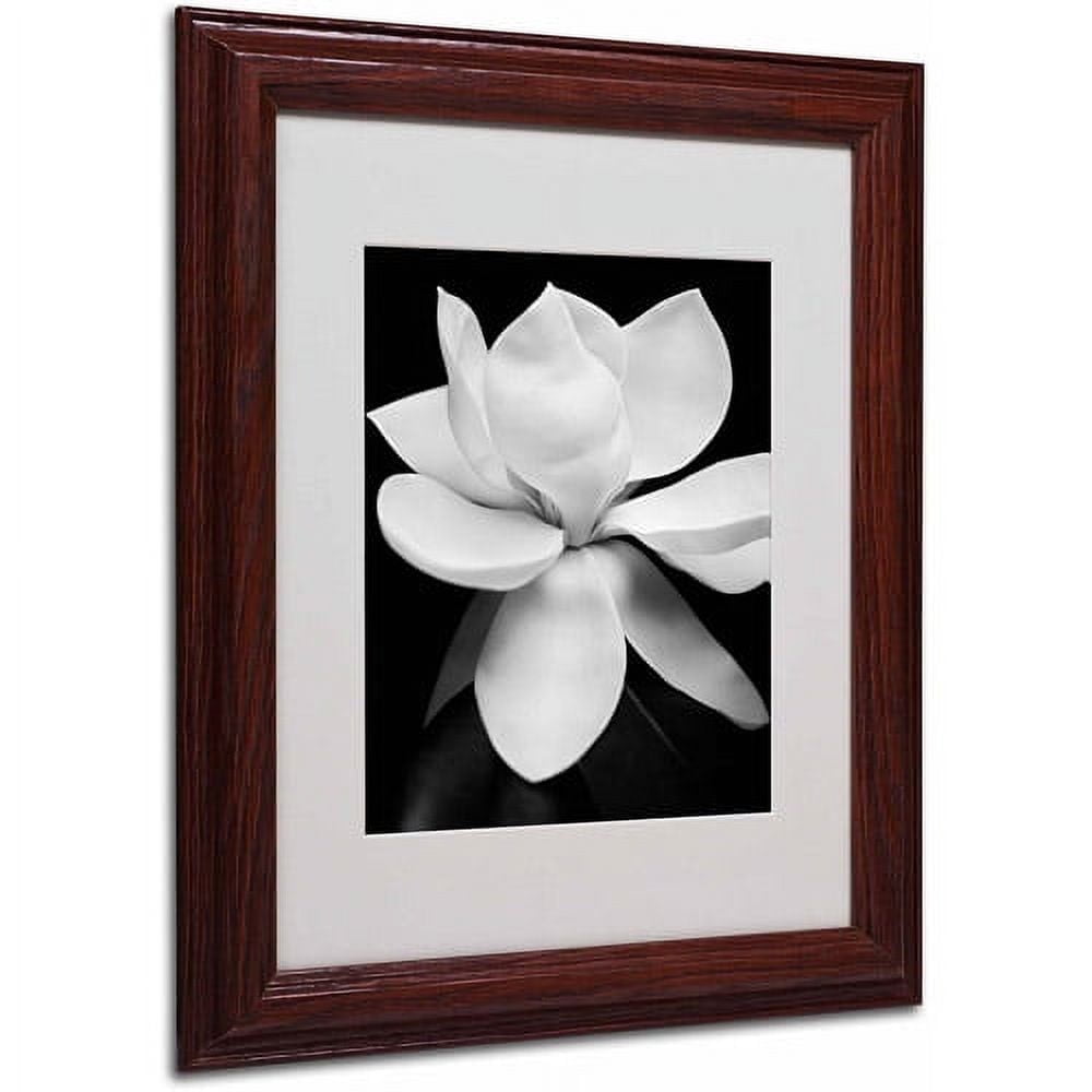 Matted art under acrylic in a wood frame