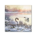 thumbnail image 1 of The Macneil Studio 'Winter Swans' Canvas Art, 1 of 3