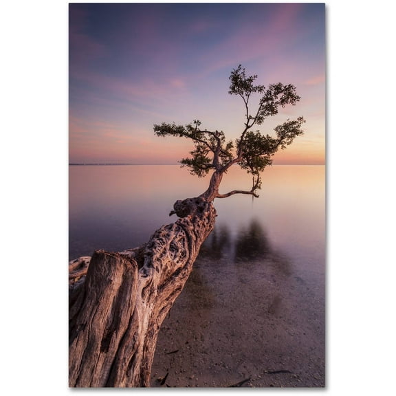 Moises Levy 'Water Tree IV' Canvas Art