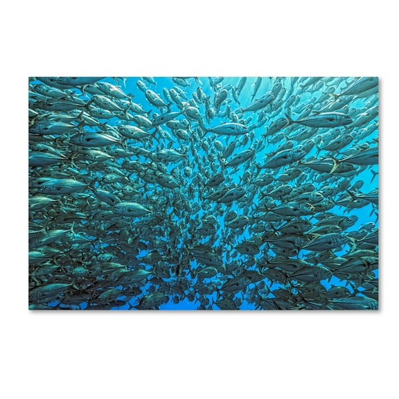 Henry Jager 'Split School Of Jackfish' Canvas Art