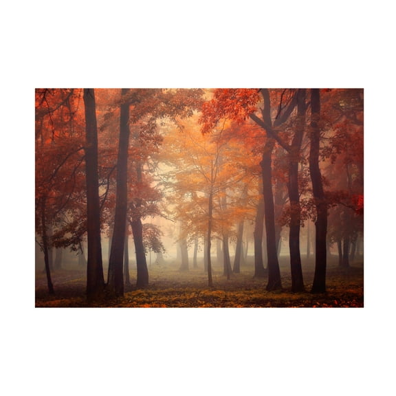 Ildiko Neer 'Feel' Canvas Art
