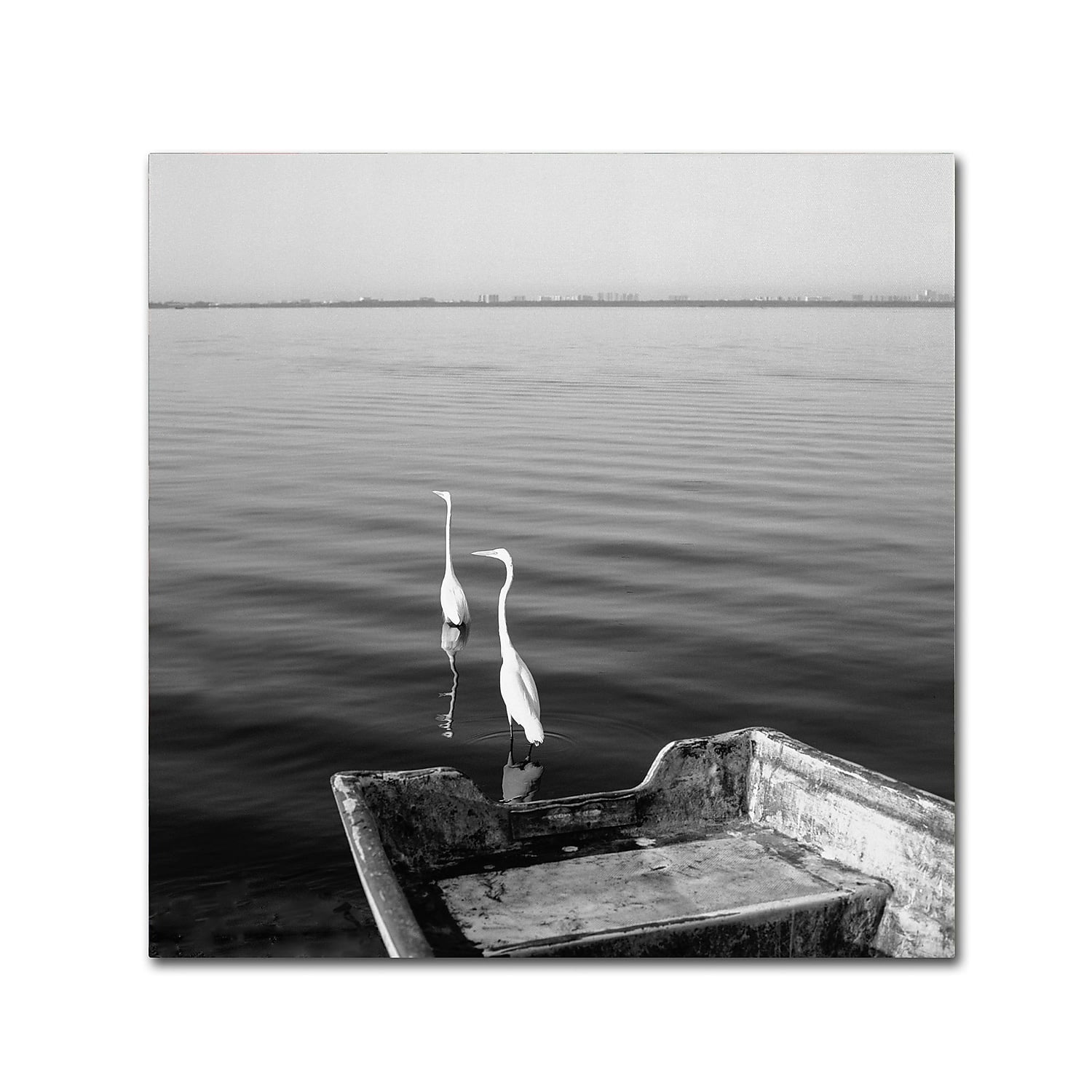 Moises Levy '2 Herons Leaving' Canvas Art