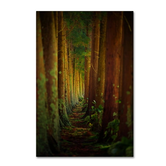 Rui Caria 'Forest' Canvas Art