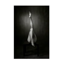 Trademark Fine Art Catchlight Studio One Up One Down Canvas Wall Art - 12x19