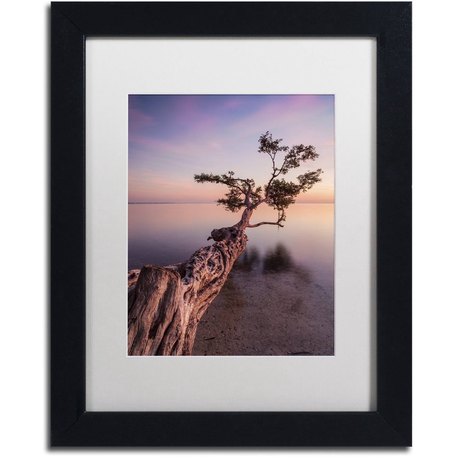 Moises Levy 'Water Tree IV' Matted Framed Art
