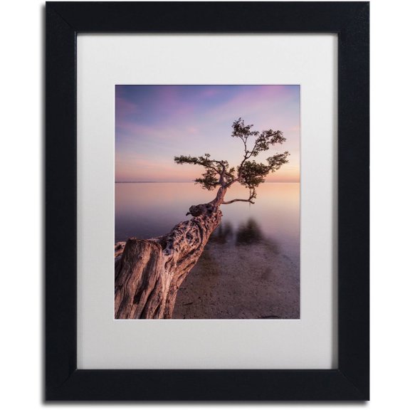 Moises Levy 'Water Tree IV' Matted Framed Art