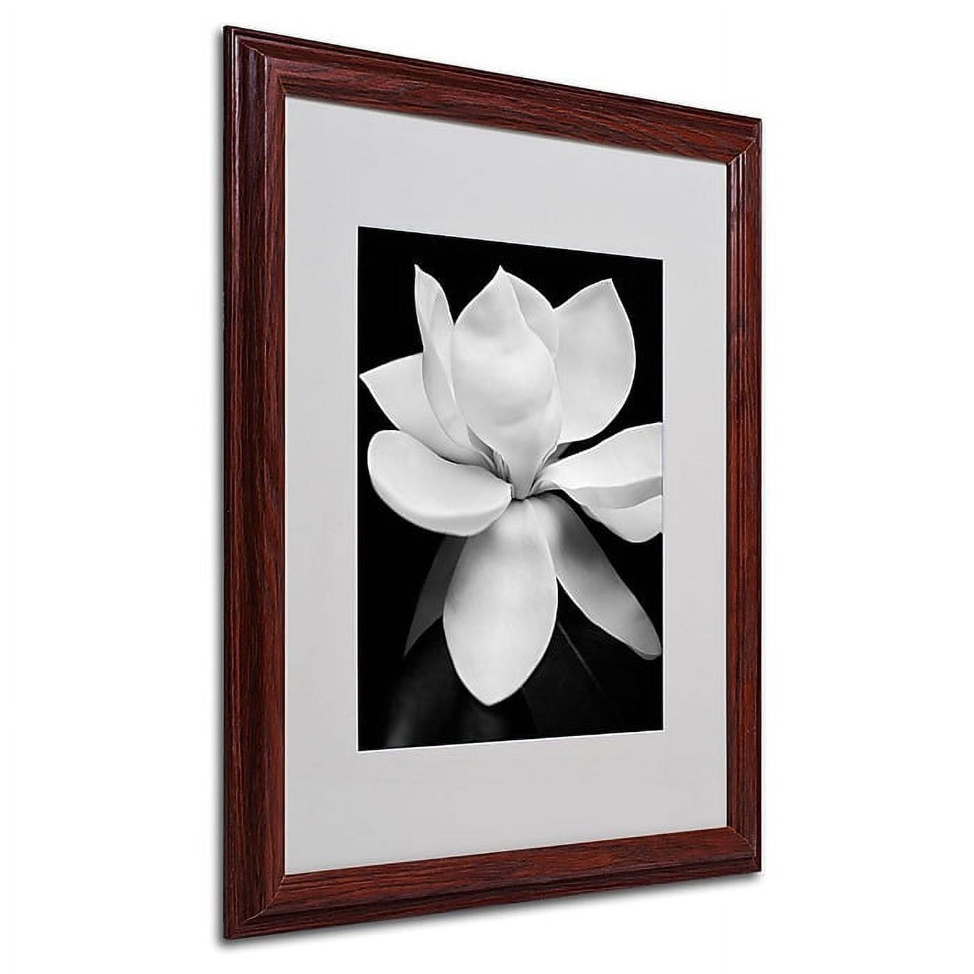 Matted art under acrylic in a wood frame
