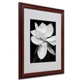 thumbnail image 1 of Matted art under acrylic in a wood frame, 1 of 5
