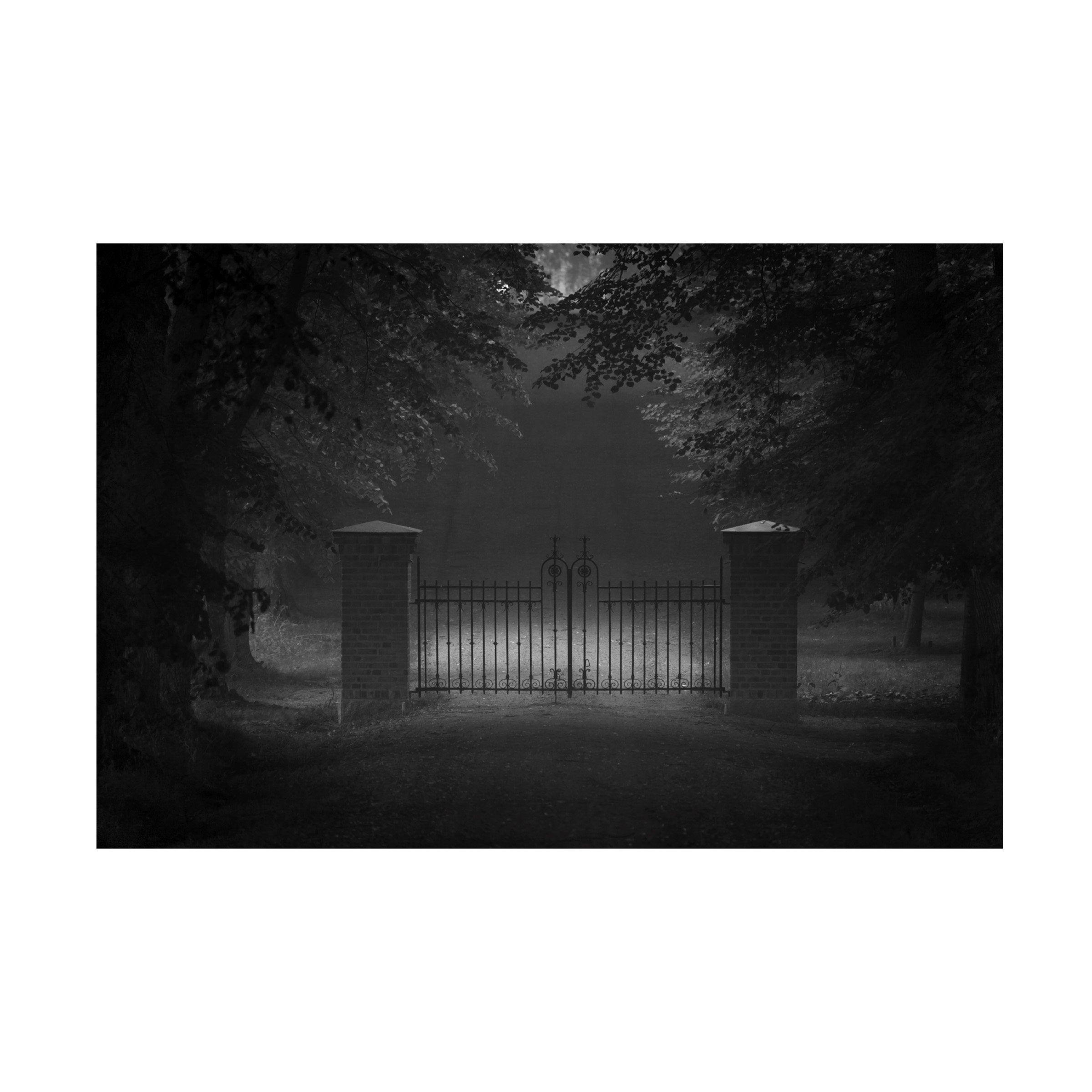Allan Wallberg 'Far But No Further' Canvas Art