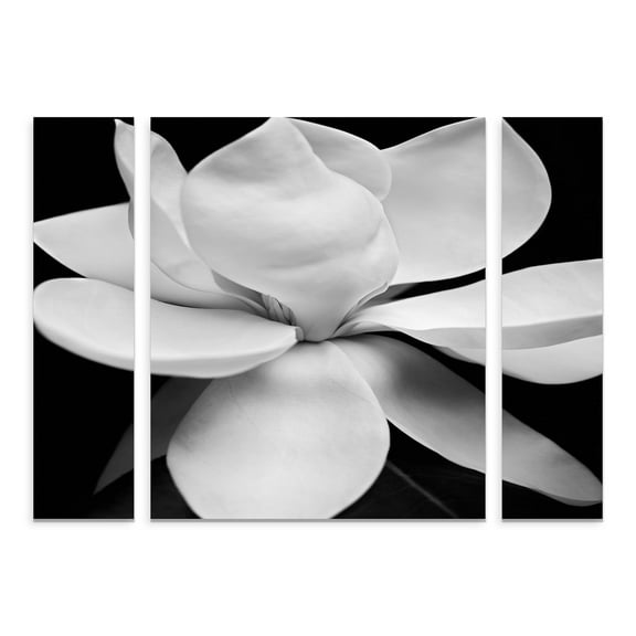 Michael Harrison 'Magnolia' Multi Panel Art Set Large 3 Piece