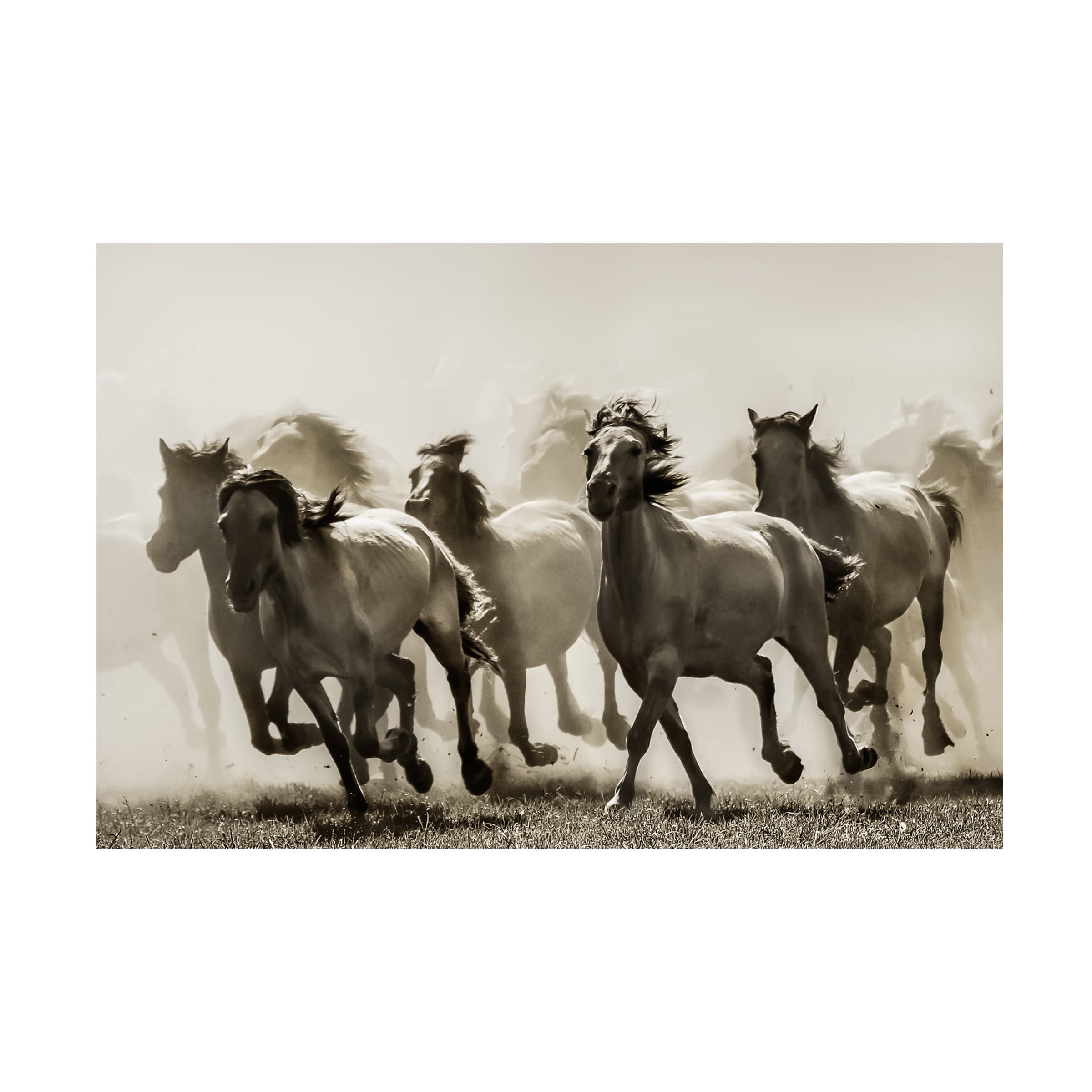 Heidi Bartsch 'Horse' Canvas Art