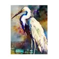 thumbnail image 1 of Ruth Day 'Egret After the Storm' Canvas Art, 1 of 4