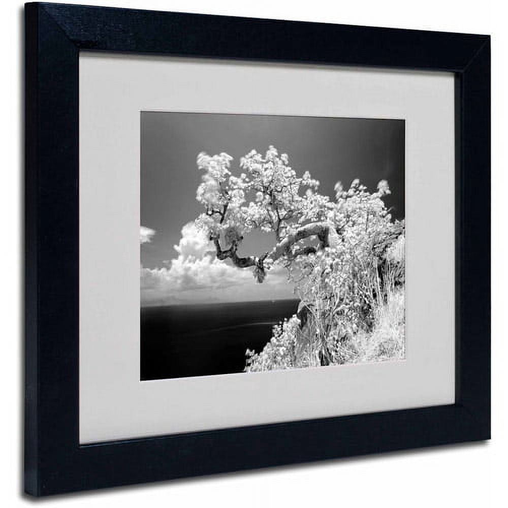 Matted art under acrylic in a black frame